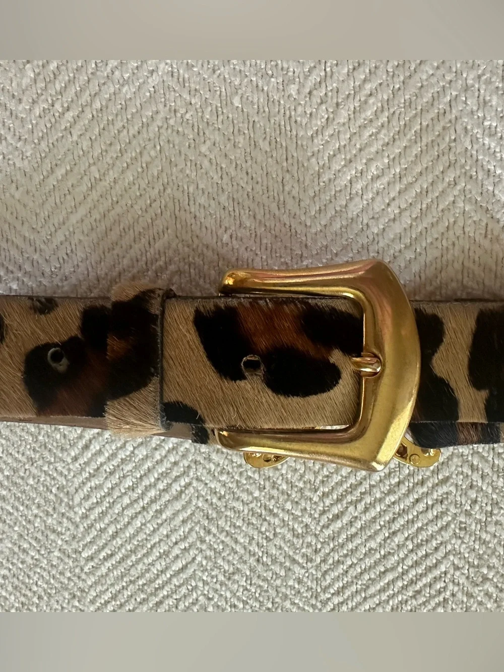 Calf Hair Leopard Print Belt with Gold Buckle